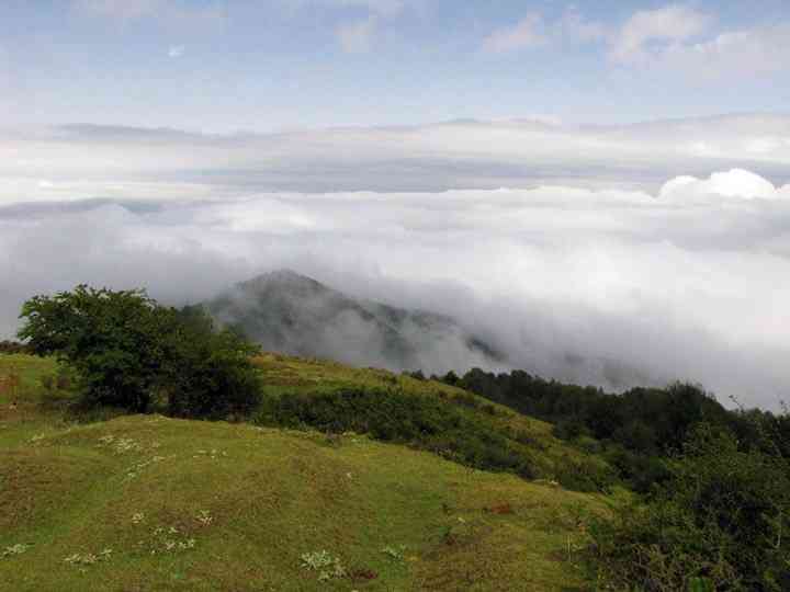 تور یک روزه جنگل الیمستان |فروردین| تور یک روزه جنگل الیمستان |فروردین|