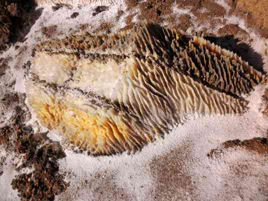 تور یکروزه تپه های مریخی  تور یکروزه تپه های مریخی