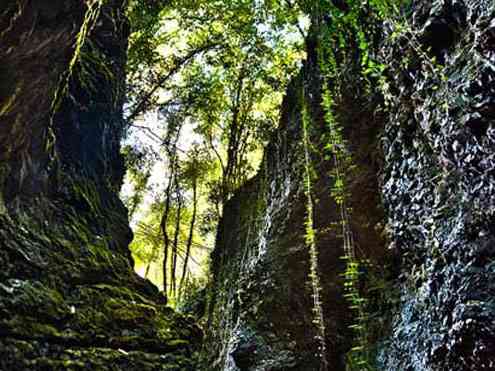 تور یک روزه جنگل سرپوش تنگه |تور تعطیلات مرداد| تور یک روزه جنگل سرپوش تنگه |تور تعطیلات مرداد|