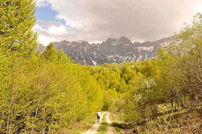 تور جنگل راش |هفته چهارم مهر| تور جنگل راش |هفته چهارم مهر|