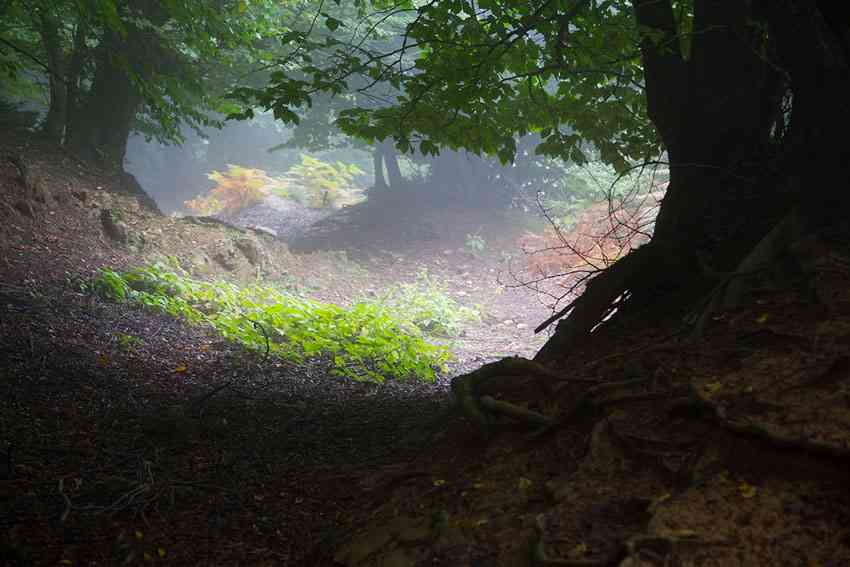 خلخال به اسالم |تور تعطیلات عید قربان| خلخال به اسالم |تور تعطیلات عید قربان|