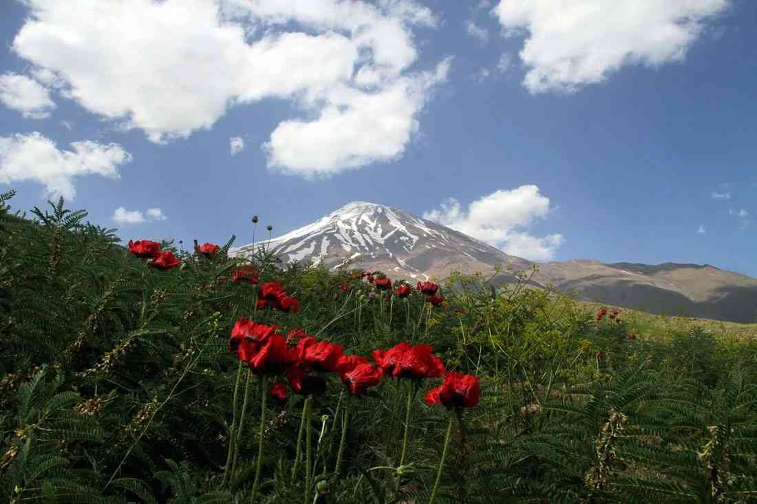 دماوند دماوند