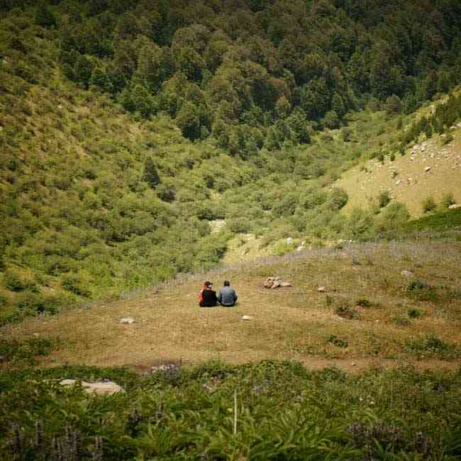 تور یک روزه جنگل راش |هفته دوم آبان| تور یک روزه جنگل راش |هفته دوم آبان|