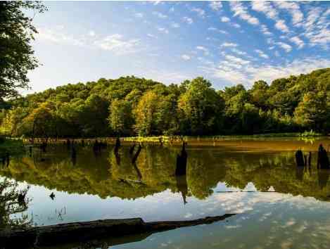 سقالکسار سقالکسار