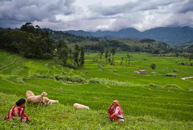 نپال |سرزمین معابد، آیین ها و اساطیر نپال |سرزمین معابد، آیین ها و اساطیر