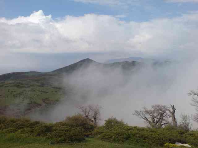 جنگل ابر |تور تعطیلات خرداد| جنگل ابر |تور تعطیلات خرداد|