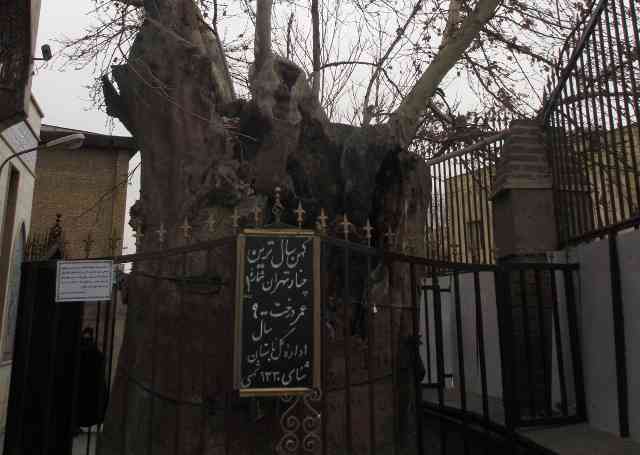 روایت تولد طهران |شهرموزه اودلاجان| روایت تولد طهران |شهرموزه اودلاجان|