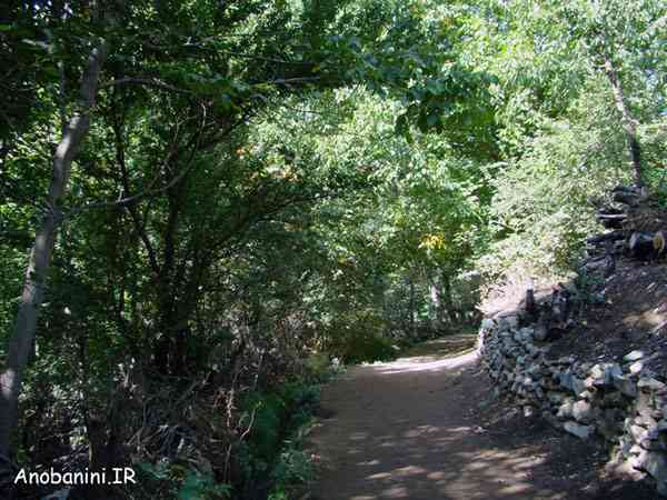 تور یک روزه آهار به شکرآب |آغاز بهار| تور یک روزه آهار به شکرآب |آغاز بهار|