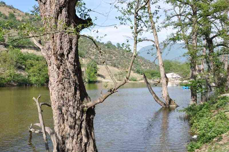 دریاچه شورمست |بیشه زار خیس| دریاچه شورمست |بیشه زار خیس|