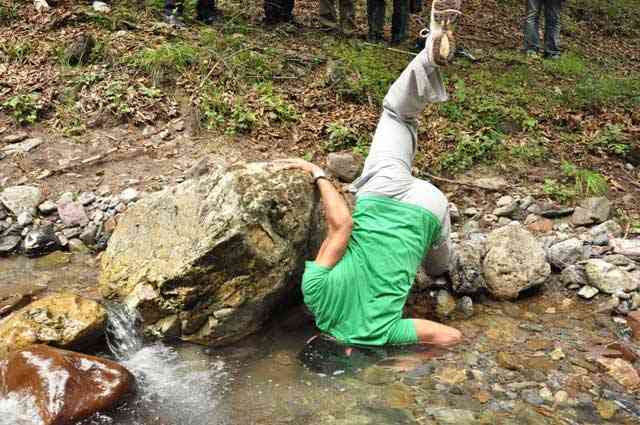 تور یک روزه دشت و جنگل نظیر |هفته اول تیر| تور یک روزه دشت و جنگل نظیر |هفته اول تیر|