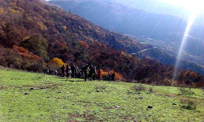تور یک روزه جنگل الیمستان |هفته سوم خرداد| تور یک روزه جنگل الیمستان |هفته سوم خرداد|