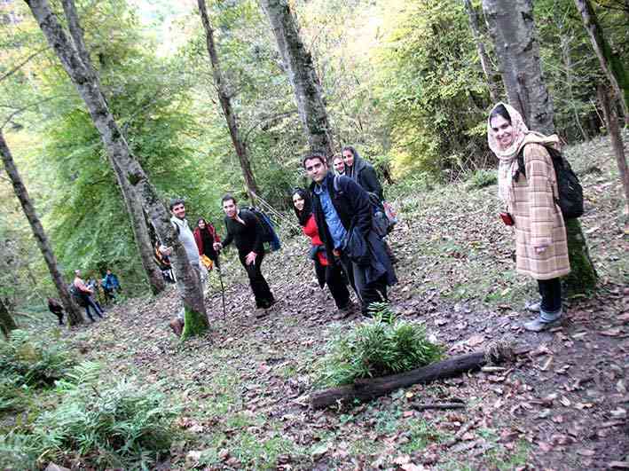 جنگل لاجیم و آبشار ولیلا تور یک روزه جنگل لاجیم و آبشار ولیلا تور یک روزه