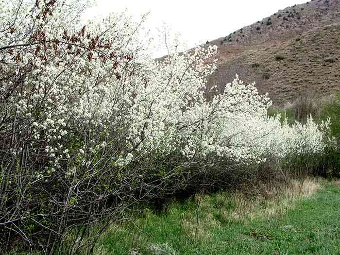 تور یک روزه غار بورنیک و روستای هرانده |هفته چهارم آبان| تور یک روزه غار بورنیک و روستای هرانده |هفته چهارم آبان|