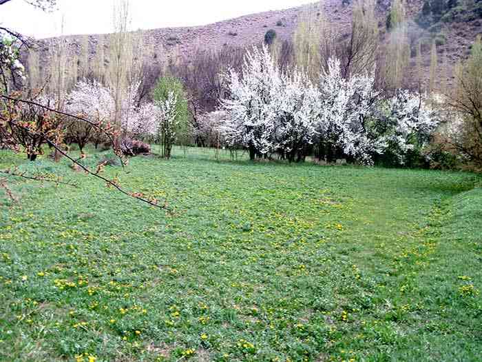 تور یک روزه غار بورنیک و روستای هرانده |آغاز بهار| تور یک روزه غار بورنیک و روستای هرانده |آغاز بهار|