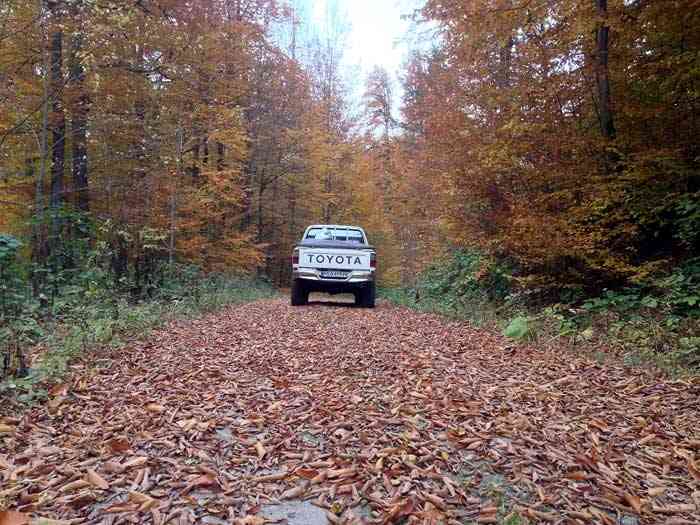 کمپینگ در گرگ کوه کمپینگ در گرگ کوه