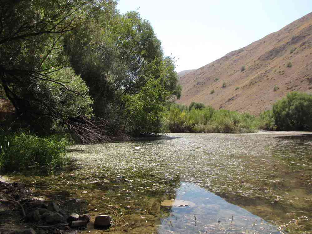 تور دریاچه گهر |تور تعطیلات عید فطر| تور دریاچه گهر |تور تعطیلات عید فطر|
