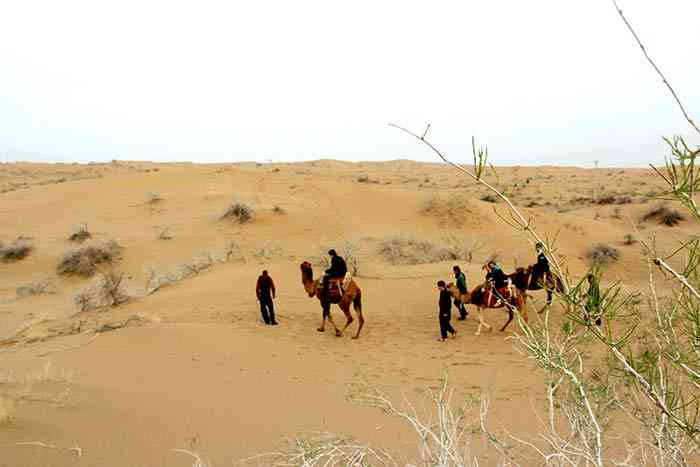 کویر ابوزید آباد تور یک روزه کویر ابوزید آباد تور یک روزه