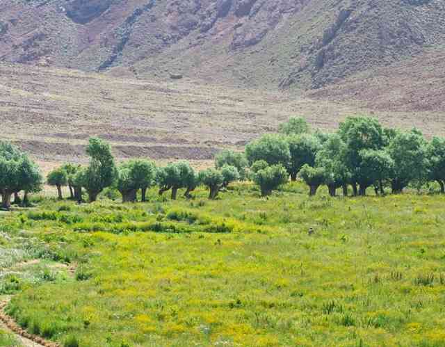 یک سفر ، یک کتاب |دشت هویج| یک سفر ، یک کتاب |دشت هویج|