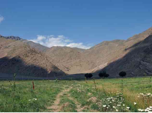 یک سفر ، یک کتاب |دشت هویج| یک سفر ، یک کتاب |دشت هویج|