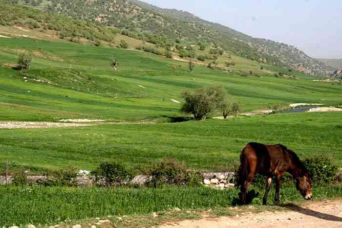 تور لرستان |تعطیلات اردیبهشت| تور لرستان |تعطیلات اردیبهشت|