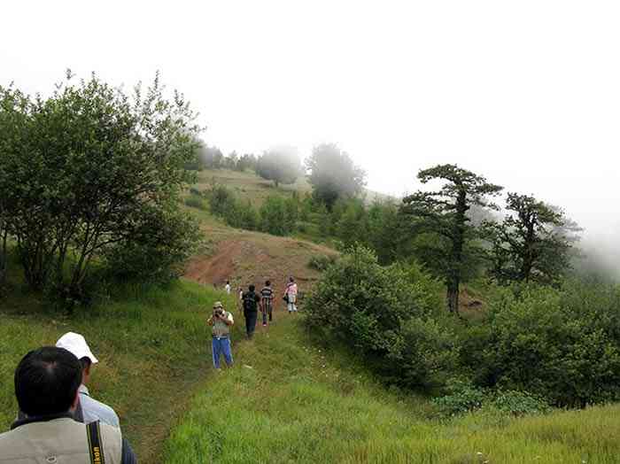 تور جنگل ابر و چشمه های باداب سورت |تور نوروز 94|  تور جنگل ابر و چشمه های باداب سورت |تور نوروز 94|