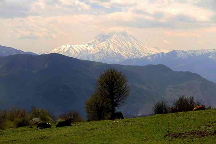 تور یک روزه جنگل الیمستان|هفته سوم تیر| تور یک روزه جنگل الیمستان|هفته سوم تیر|