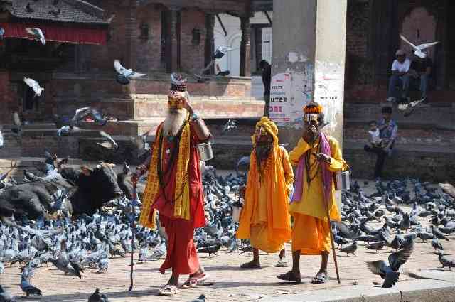 تور نپال |بودیسم و نمایشنامه| با حضور دکتر نغمه ثمینی تور نپال |بودیسم و نمایشنامه| با حضور دکتر نغمه ثمینی