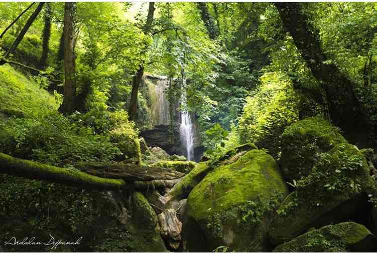 تور یک روزه | تور آبشار ترز و جنگل لفور| تور یک روزه | تور آبشار ترز و جنگل لفور|