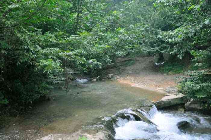 تور رودخانهنوردی در جنگلهای دیورش |هفته سوم مهر| تور رودخانهنوردی در جنگلهای دیورش |هفته سوم مهر|