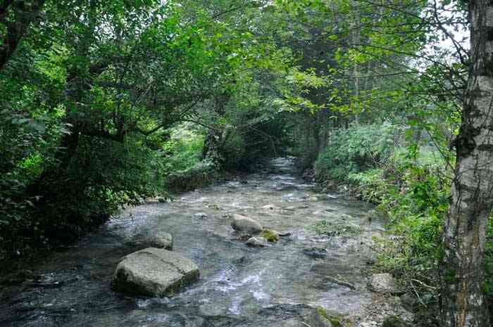 تور رودخانهنوردی در جنگلهای دیورش |هفته سوم مهر| تور رودخانهنوردی در جنگلهای دیورش |هفته سوم مهر|
