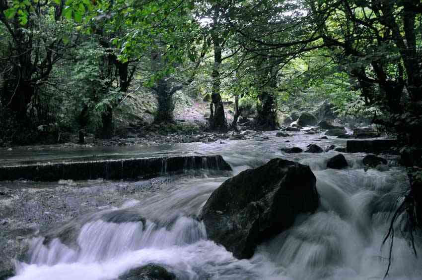 تور رودخانهنوردی در جنگلهای دیورش |تور نوروز 95| تور رودخانهنوردی در جنگلهای دیورش |تور نوروز 95|