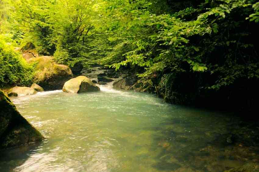 تور رودخانهنوردی در جنگلهای دیورش |تور نوروز 95| تور رودخانهنوردی در جنگلهای دیورش |تور نوروز 95|