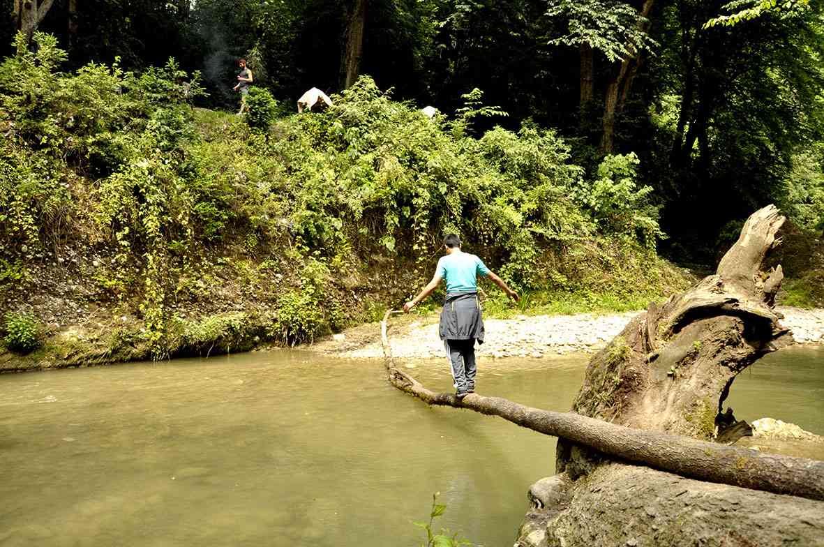 تور یک روزه پلنگ دره |هفته اول تیر| تور یک روزه پلنگ دره |هفته اول تیر|