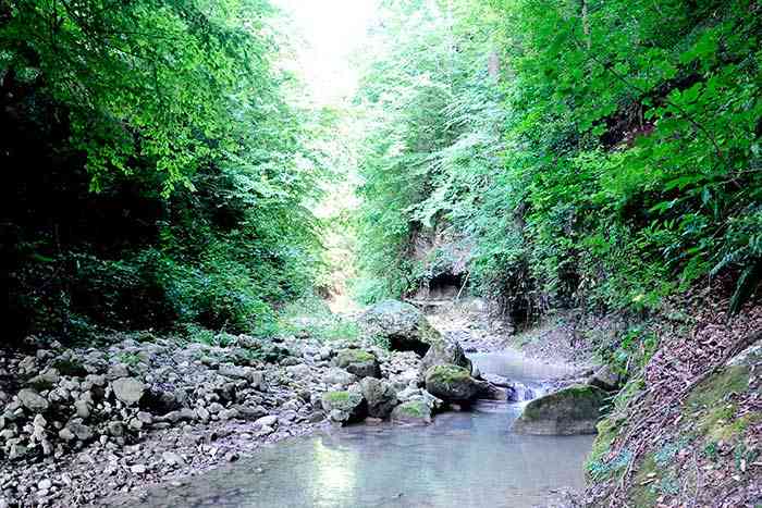 تور هزار جریب و آبشار اسپه او تور هزار جریب و آبشار اسپه او
