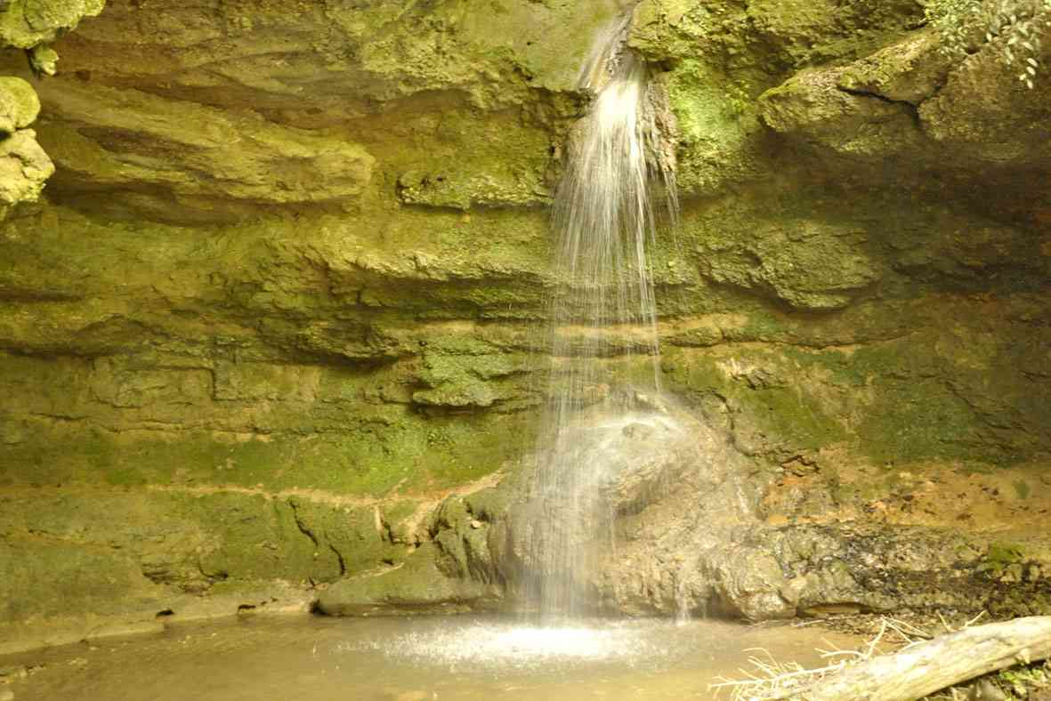 توردوچرخه سواری پلنگدره |هفته سوم مرداد| توردوچرخه سواری پلنگدره |هفته سوم مرداد|