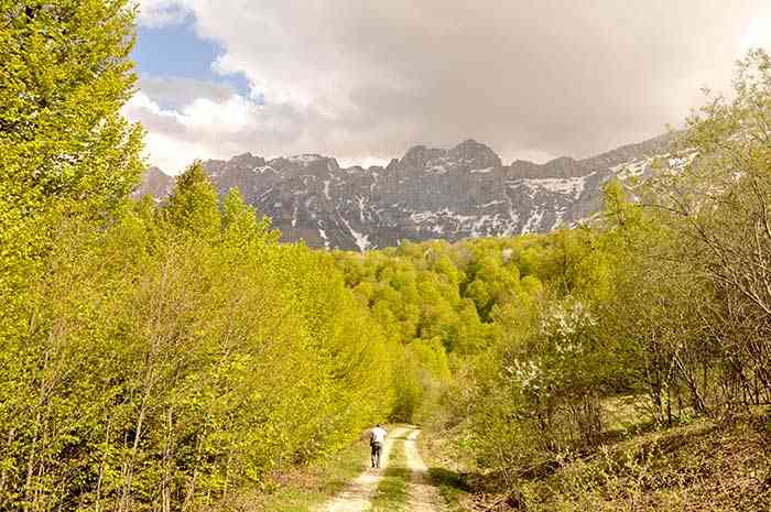 تور یک روزه جنگل راش |تعطیلات اردیبهشت| تور یک روزه جنگل راش |تعطیلات اردیبهشت|