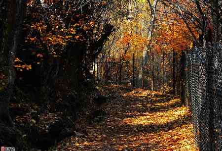 آهار به شکراب تور یک روزه آهار به شکراب تور یک روزه