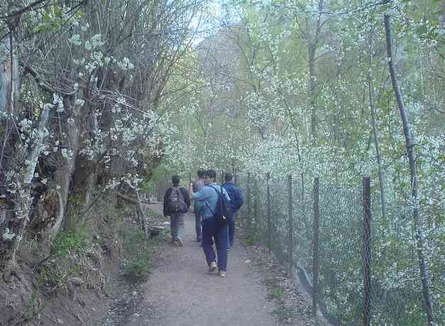 تور یکروزه آهار به شکرآب |هفته دوم مهر|  تور یکروزه آهار به شکرآب |هفته دوم مهر|