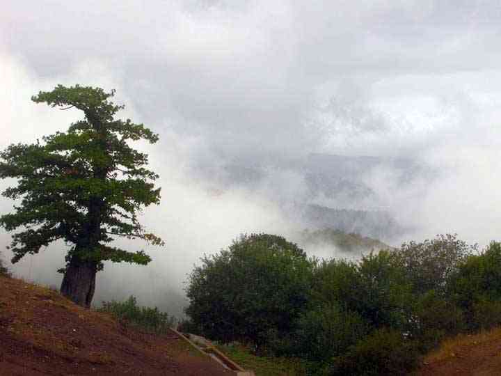 جنگل ابر ، خرقان و بسطام |تور عید فطر95| جنگل ابر ، خرقان و بسطام |تور عید فطر95|