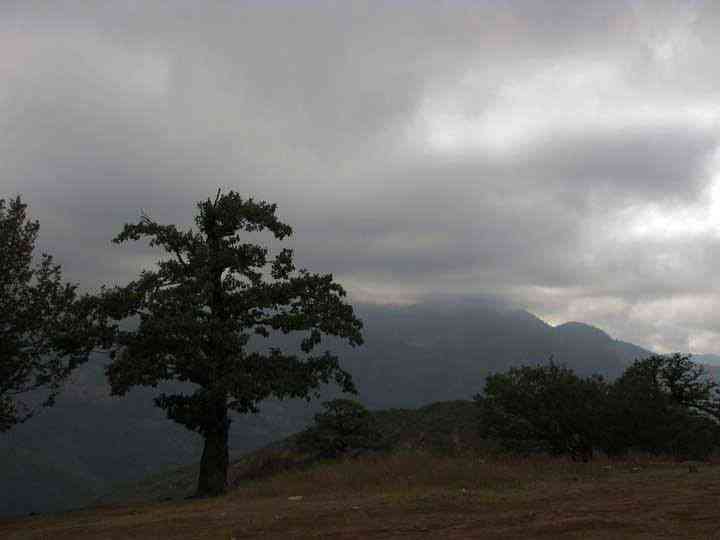 جنگل ابر ، خرقان و بسطام |تور عید فطر95| جنگل ابر ، خرقان و بسطام |تور عید فطر95|