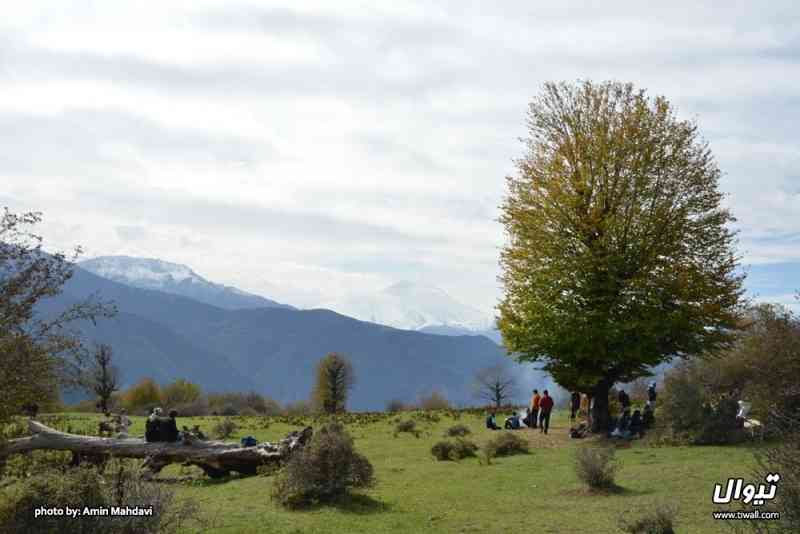 یک سفر یک کتاب |جنگل الیمستان-عین اله غریب| یک سفر یک کتاب |جنگل الیمستان-عین اله غریب|