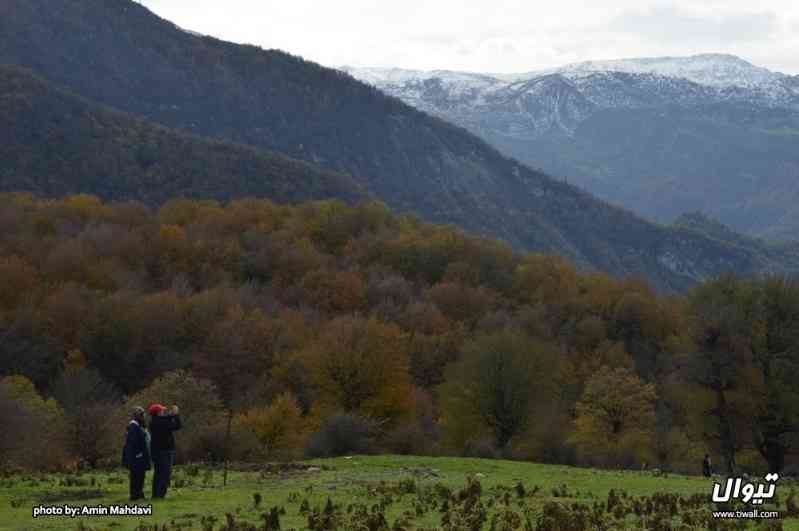 یک سفر یک کتاب |جنگل الیمستان-عین اله غریب| یک سفر یک کتاب |جنگل الیمستان-عین اله غریب|