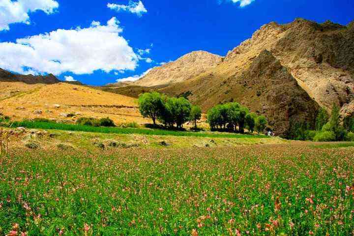 سفر به دشت زیبای لزور و تنگه لاسک نوروز 93 سفر به دشت زیبای لزور و تنگه لاسک نوروز 93