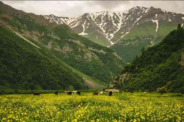 دورنمای قله سیالان و دشت دریاسر دورنمای قله سیالان و دشت دریاسر
