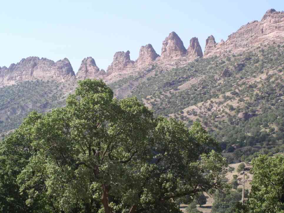 تور ایلام _ کرمانشاه |تور نوروز 94| تور ایلام _ کرمانشاه |تور نوروز 94|