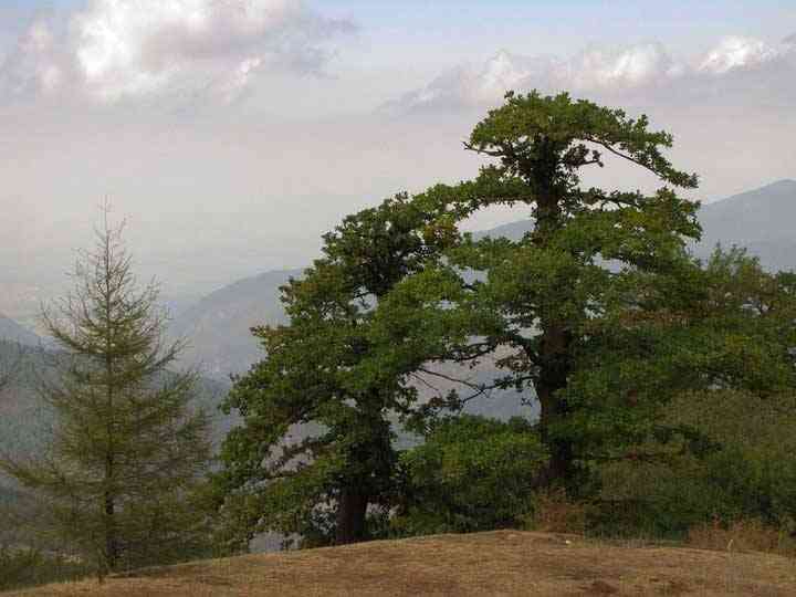 تور جنگل ابر |هفته اول آذر| تور جنگل ابر |هفته اول آذر|