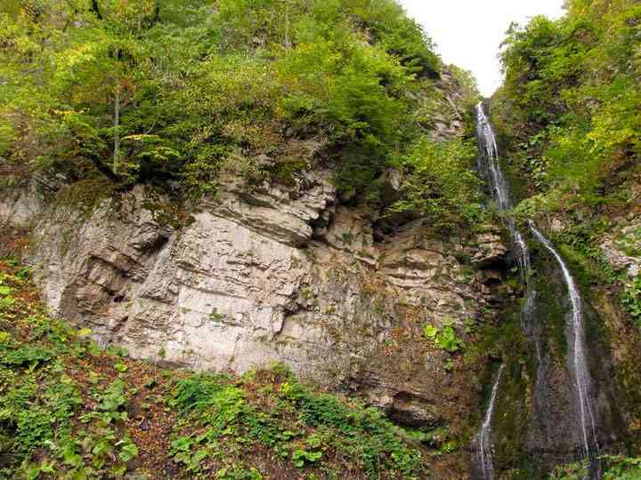 تور جنگل ابر |هفته اول آذر| تور جنگل ابر |هفته اول آذر|
