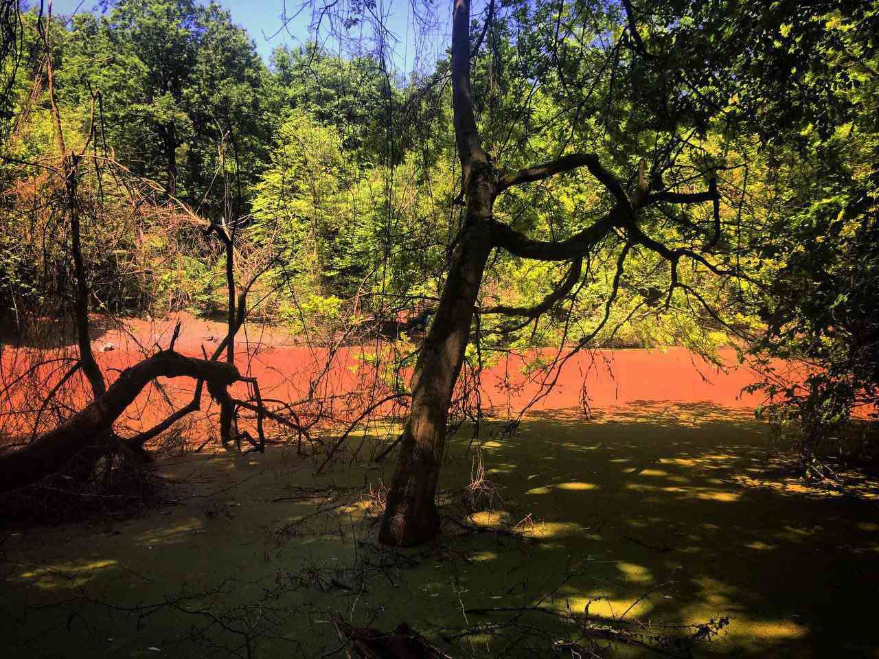 مرداب هسل مرداب هسل