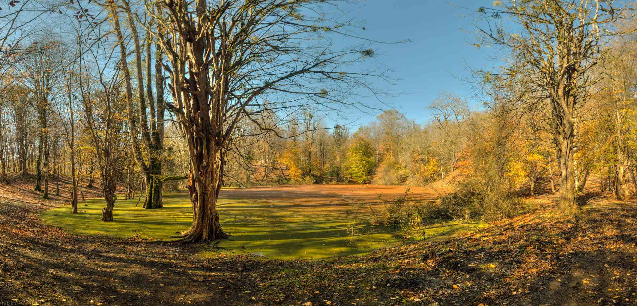 مرداب هسل مرداب هسل