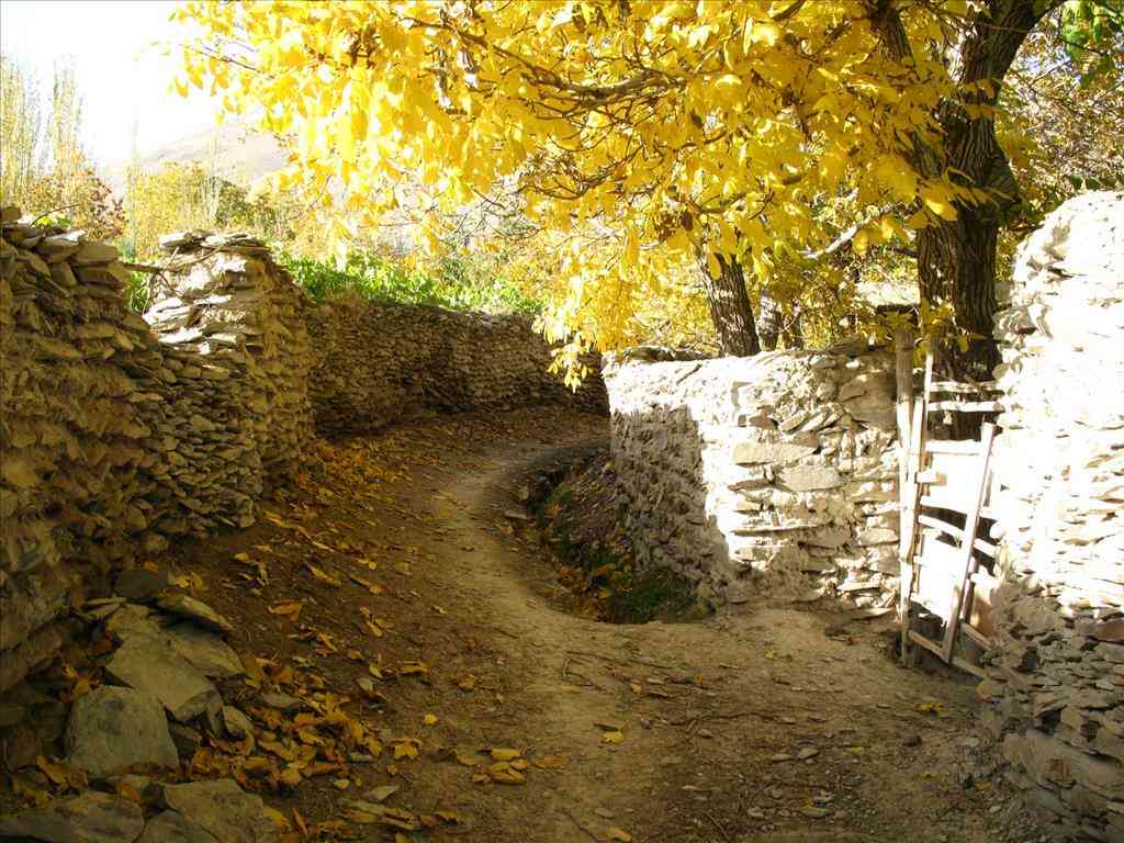 تور انگورچینی هزاوه |زادگاه امیرکبیر| تور انگورچینی هزاوه |زادگاه امیرکبیر|